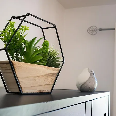 T2 Lumineux Au Coeur De *